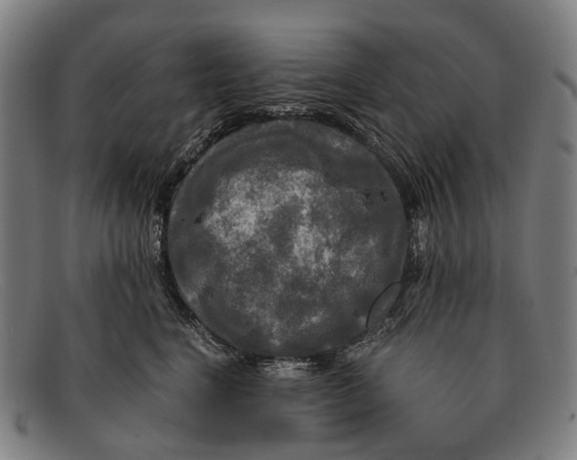 X0000091480664200709131812