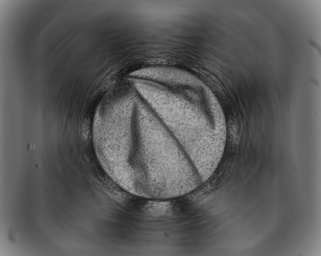 X0000091480665200709131812