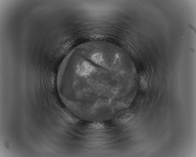 X0000091480668200709131813