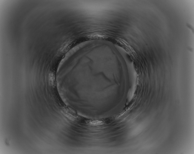 X0000091480669200709131813