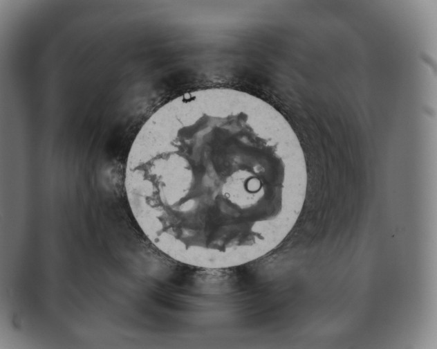 X0000091480672200709131813