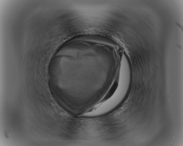 X0000091480673200709131812