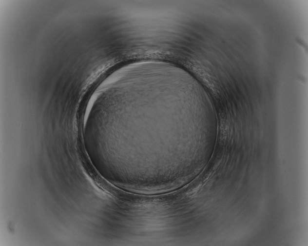 X0000091480674200709131812