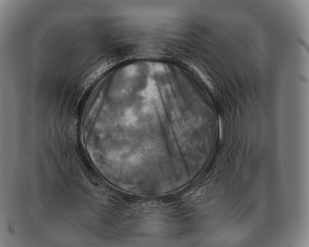 X0000091480675200709131812