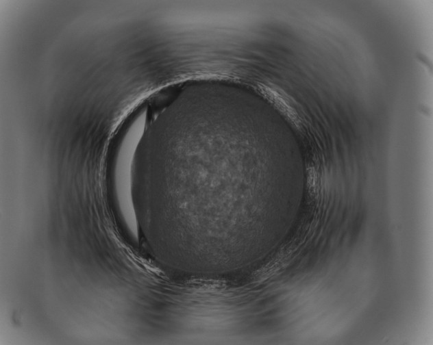 X0000091480676200709131812