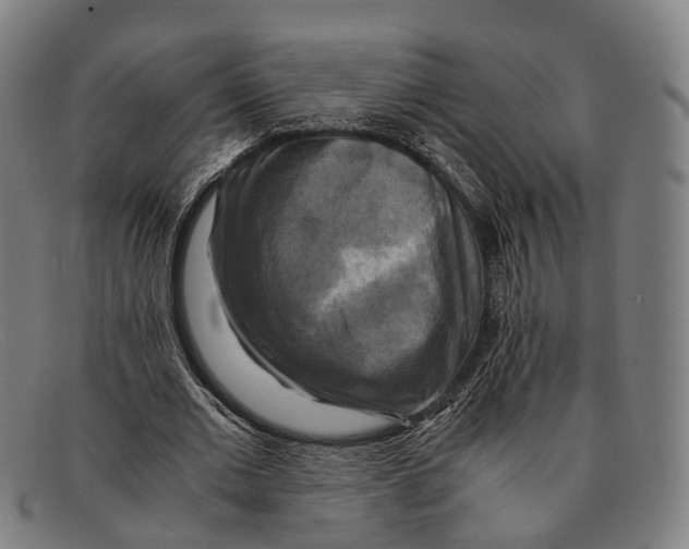 X0000091480677200709131812