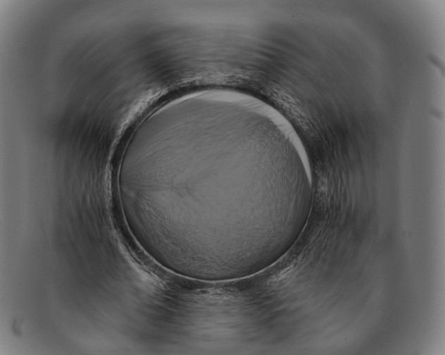 X0000091480678200709131812