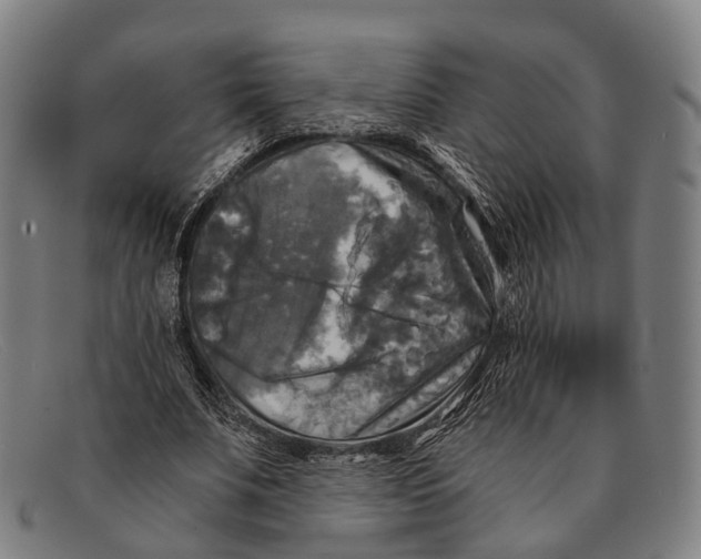 X0000091480679200709131812