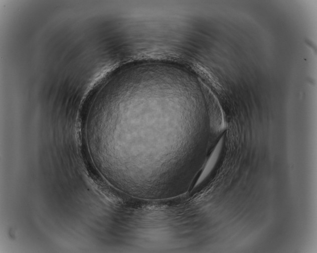 X0000091480680200709131812