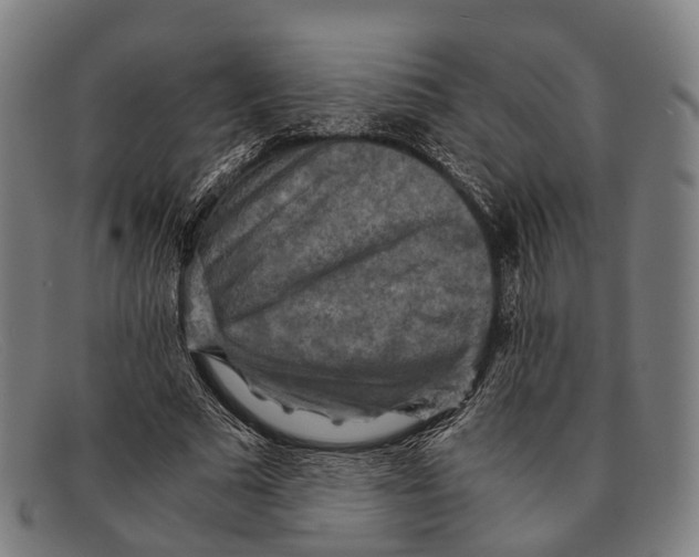 X0000091480681200709131812