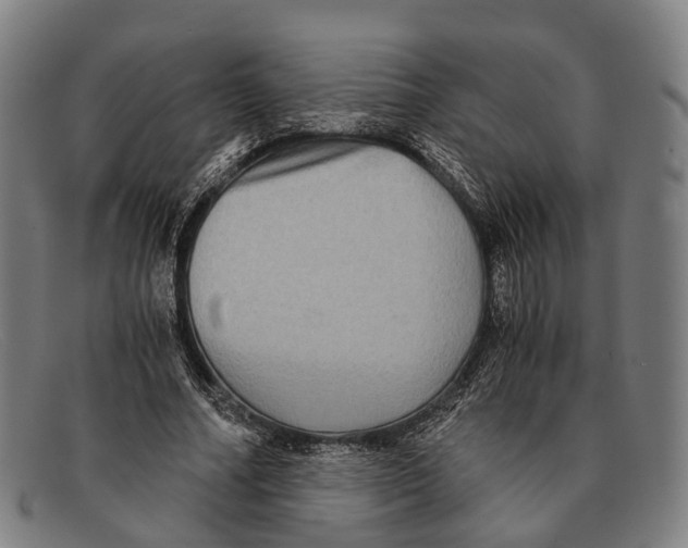 X0000091480682200709131812