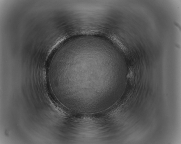 X0000091480684200709131812