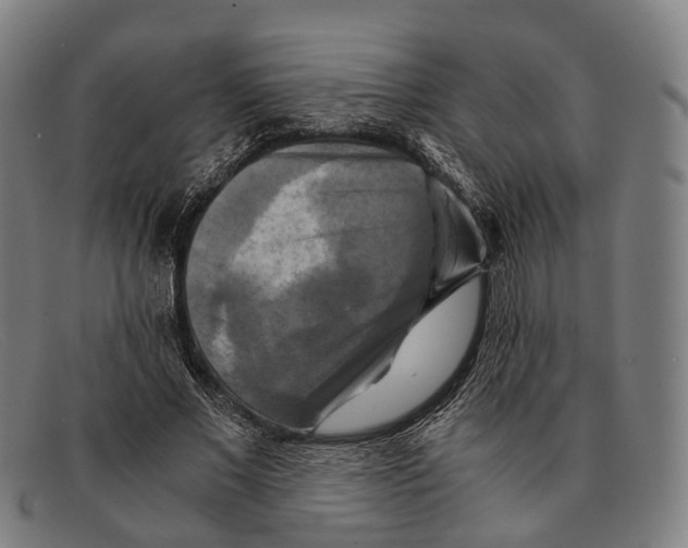 X0000091480685200709131812