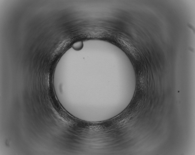 X0000091480686200709131812