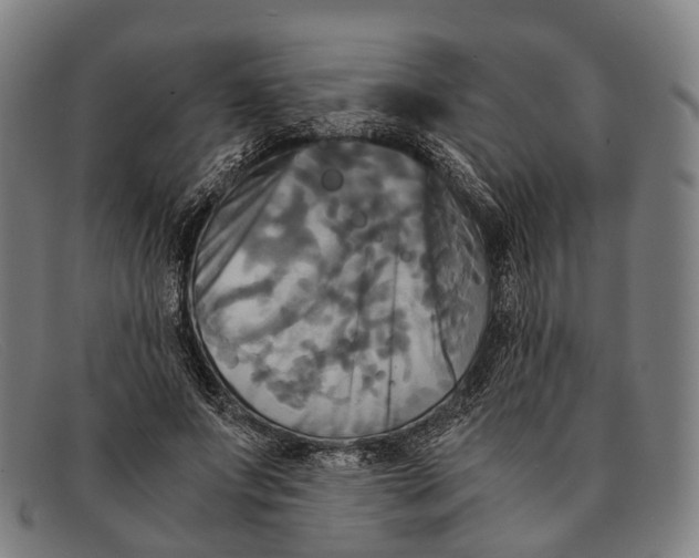 X0000091480687200709131812