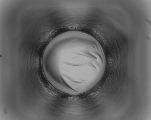 X0000091480690200709131812