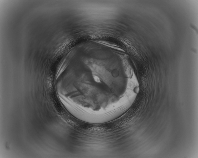 X0000091480691200709131812