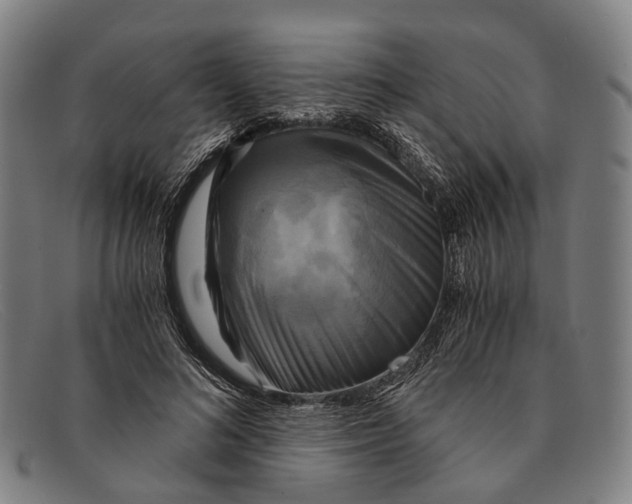 X0000091480692200709131812