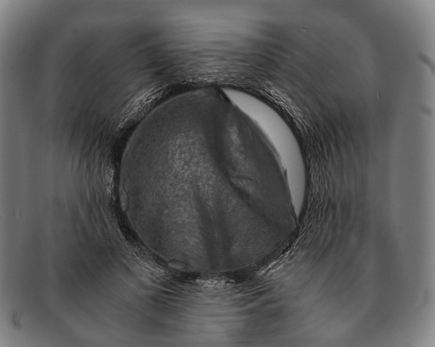 X0000091480693200709131812