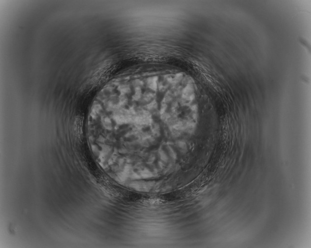 X0000091480695200709131812