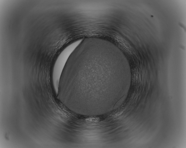 X0000091480700200709131812