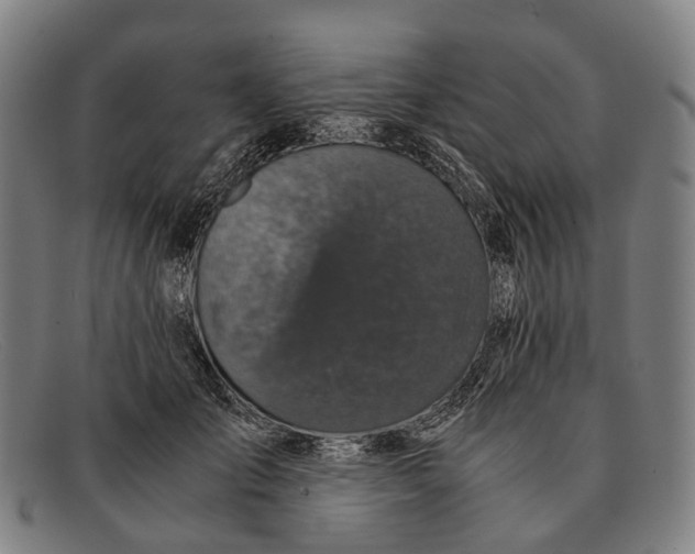 X0000091480701200709131812