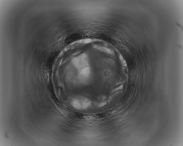 X0000091480703200709131812