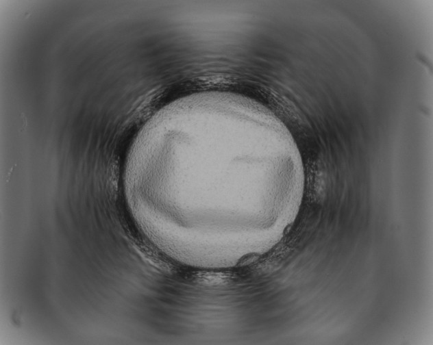 X0000091480710200709131812