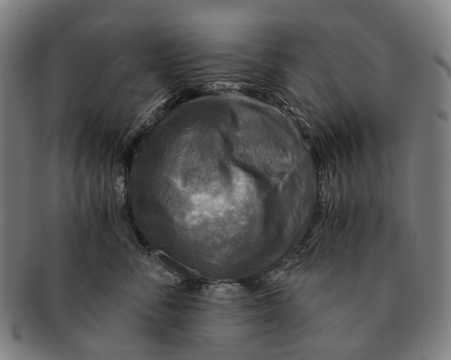 X0000091480716200709131811