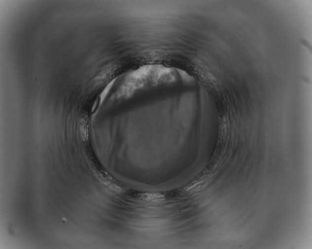 X0000091480719200709131811