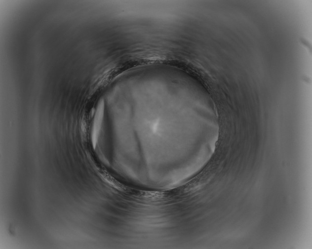 X0000091480720200709131811