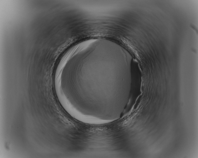 X0000091480721200709131811