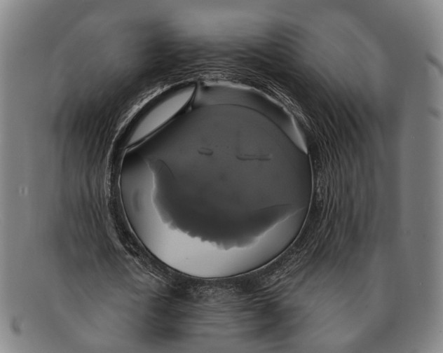 X0000091480722200709131811