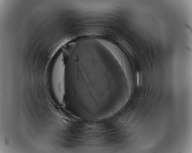 X0000091480723200709131811