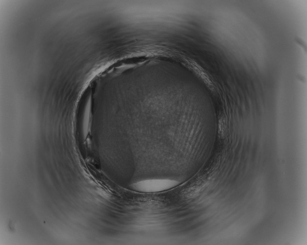 X0000091480724200709131811