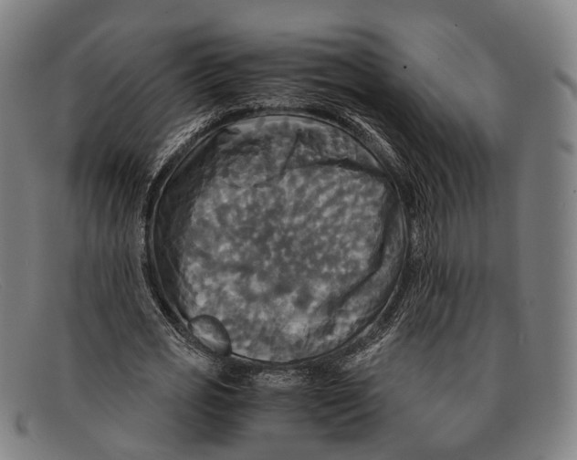 X0000091480725200709131811