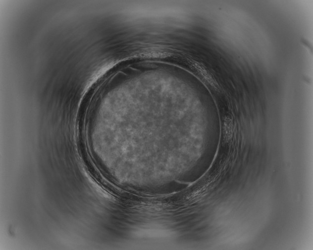 X0000091480726200709131811