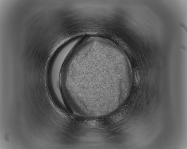 X0000091480728200709131811