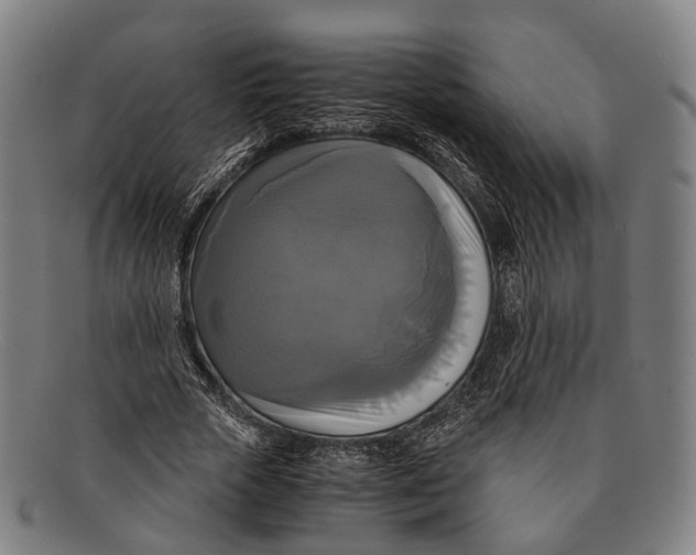 X0000091480729200709131811