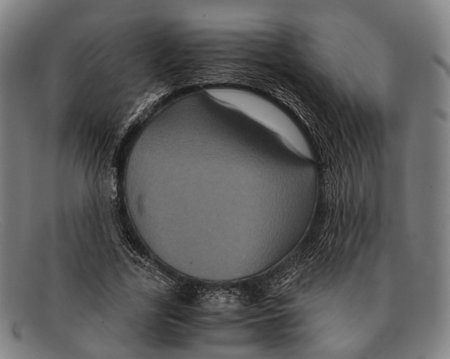 X0000091480731200709131811