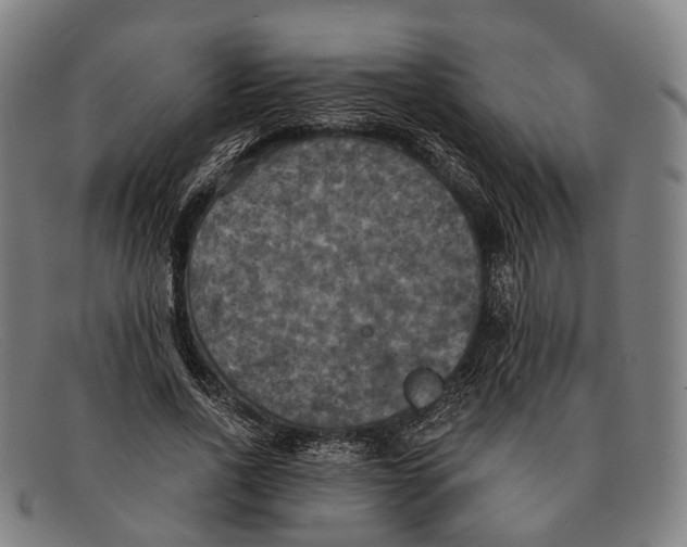 X0000091480734200709131811