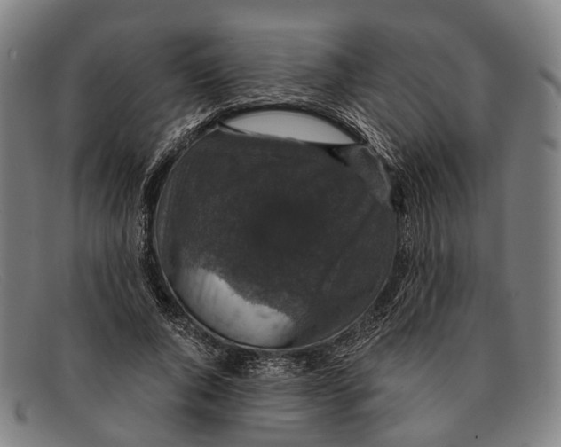 X0000091480736200709131811