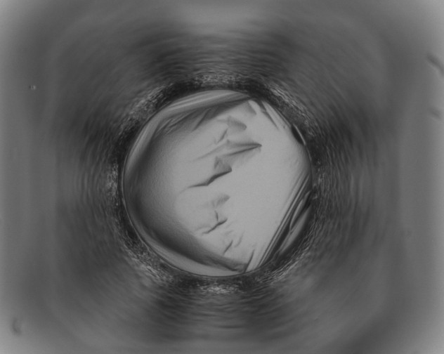 X0000091480737200709131811