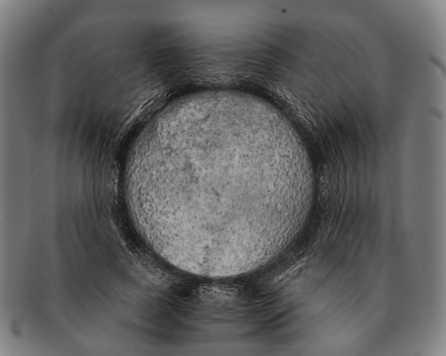 X0000091480739200709131811