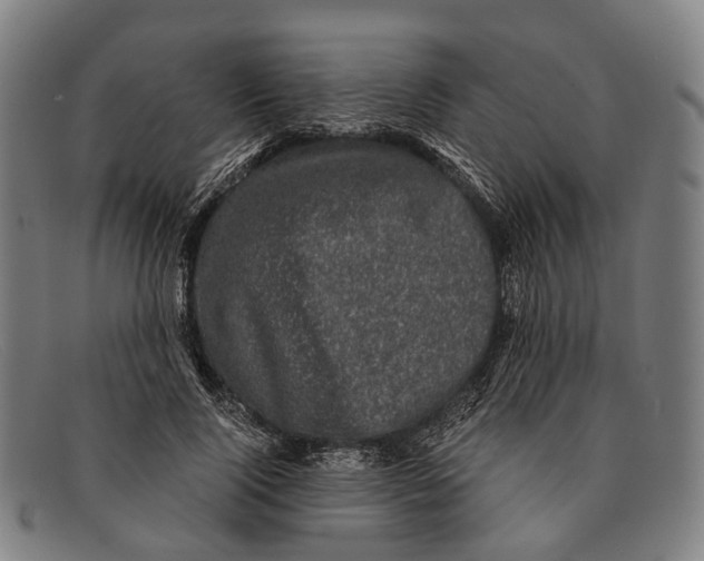 X0000091480740200709131811