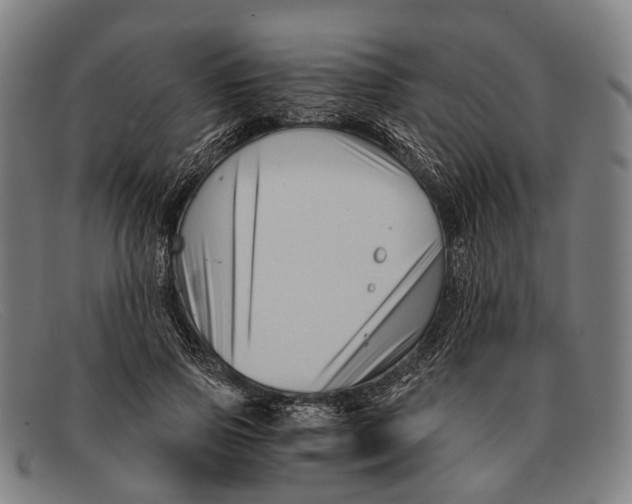 X0000091480741200709131811