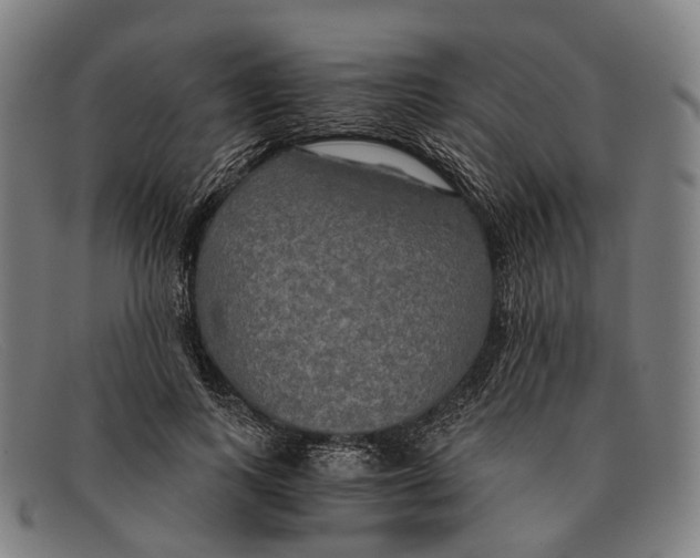 X0000091480743200709131811