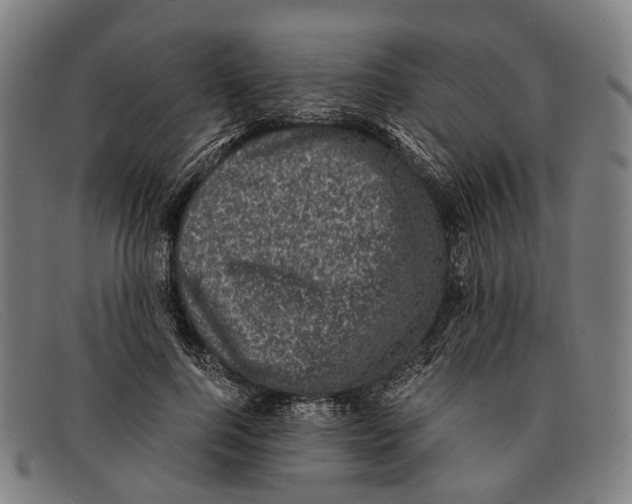 X0000091480744200709131811