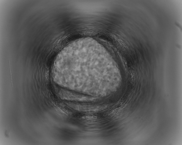 X0000091480745200709131811