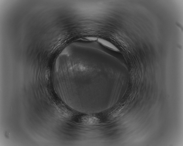 X0000091480747200709131811